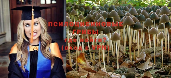 крисы Алексин