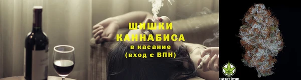 ГАЛЛЮЦИНОГЕННЫЕ ГРИБЫ Алзамай