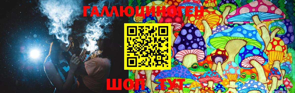 Дзержинск  наркошоп  Вход с VPN  Псилоцибиновые грибы MAGIC MUSHROOMS 