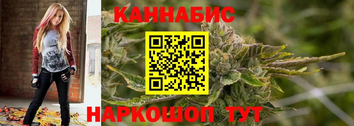 Канабис сатива Дзержинск