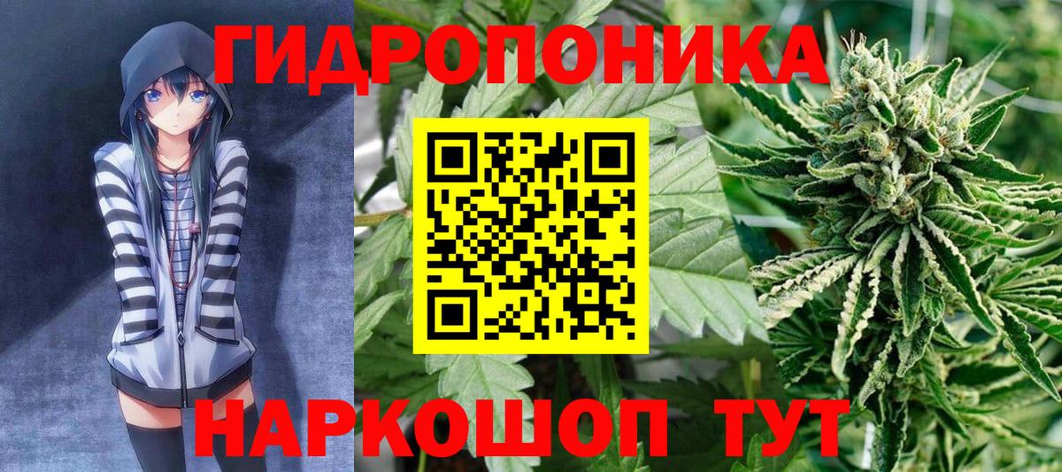 Шишки марихуана сатива  Вход с VPN  Бошки марихуана планчик  Марихуана план  Дзержинск 